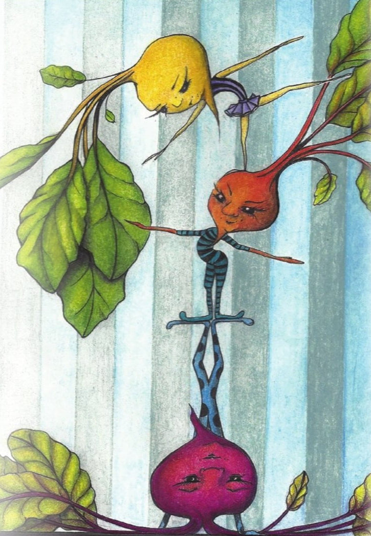 Beet Seeds - Rainbow Blend - Sow True Seed