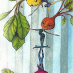 Beet Seeds - Rainbow Blend - Sow True Seed