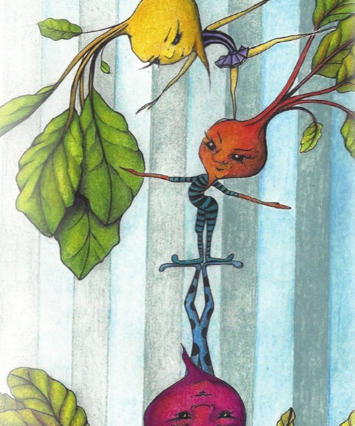 Beet Seeds - Rainbow Blend - Sow True Seed