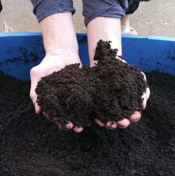 Greenhill Worm Castings - Sow True Seed