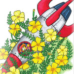 Marigold Seeds - Lemon Gem - Sow True Seed