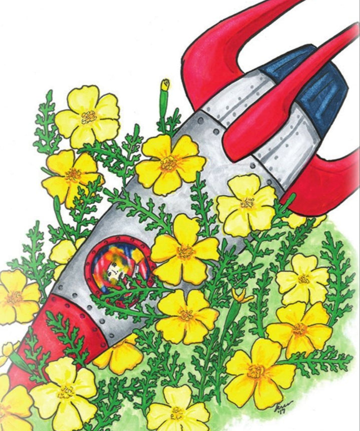 Marigold Seeds - Lemon Gem - Sow True Seed