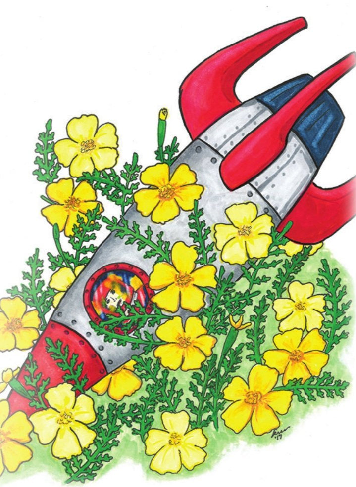 Marigold Seeds - Lemon Gem - Sow True Seed