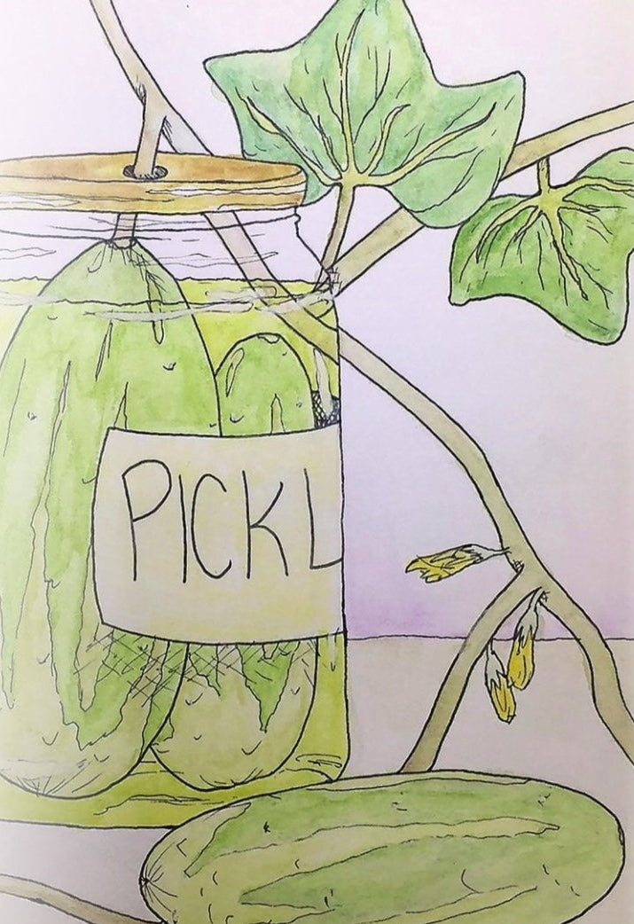 Pickling Cucumber Seeds - Arkansas Little Leaf Pickling - Sow True Seed