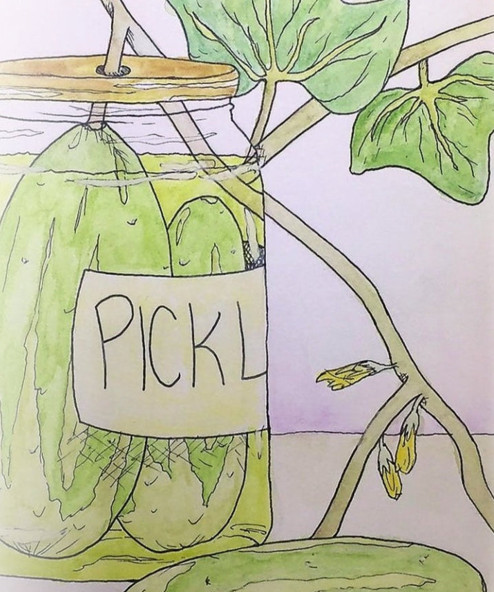 Pickling Cucumber Seeds - Arkansas Little Leaf Pickling - Sow True Seed