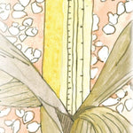 Flint Corn Seeds - Pennsylvania Dutch Butter Flavored Popcorn, ORGANIC - Sow True Seed