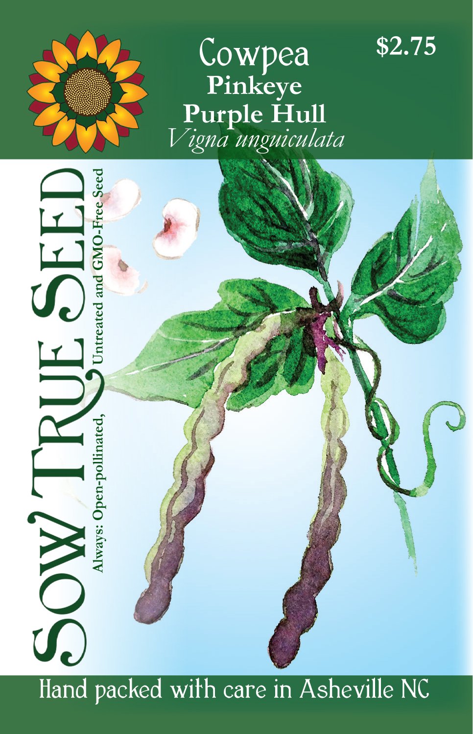 Purple Hull Pea Seeds For Sale Near Me