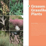 The Southeast Native Plant Primer - Sow True Seed