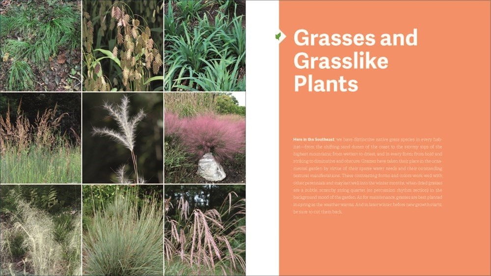 The Southeast Native Plant Primer - Sow True Seed