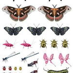 Fluttery, Friendly Tattoo Butterflies - Sow True Seed