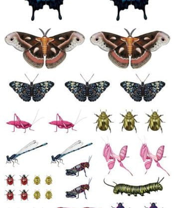 Fluttery, Friendly Tattoo Butterflies - Sow True Seed