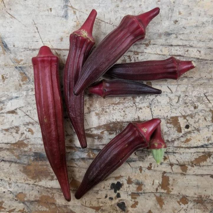 Okra Seeds - Aunt Hettie's Red - Sow True Seed