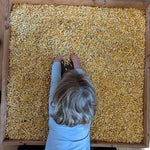Dent Corn Seeds - Blue Ridge White Capped - Sow True Seed