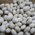 Drying Bean - Marrowfat - Sow True Seed