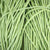 Asparagus Bean Seeds - Yard Long Red Seeded - Sow True Seed