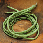 Asparagus Bean Seeds - Yard Long Red Seeded - Sow True Seed
