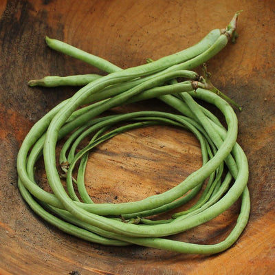 Asparagus Bean Seeds - Yard Long Red Seeded