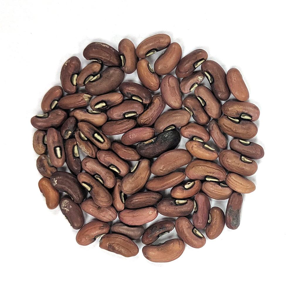 Asparagus Bean Seeds - Yard Long Red Seeded - Sow True Seed