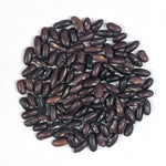 Bush Bean - Provider, ORGANIC - Sow True Seed