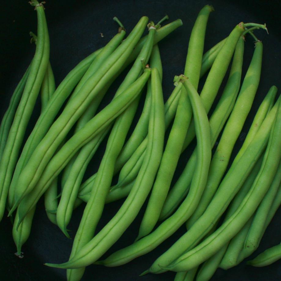Sow True Seed Bush Bean - Thumbnail 2