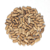 Bush Bean - Royal Burgundy - Sow True Seed