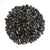 Bush Bean - Tendergreen ORGANIC - Sow True Seed
