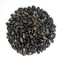Bush Bean Seeds - Tendergreen ORGANIC