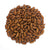 Drying Bean - Arikara Yellow - Sow True Seed