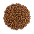 Drying Bean Seeds - Arikara Yellow