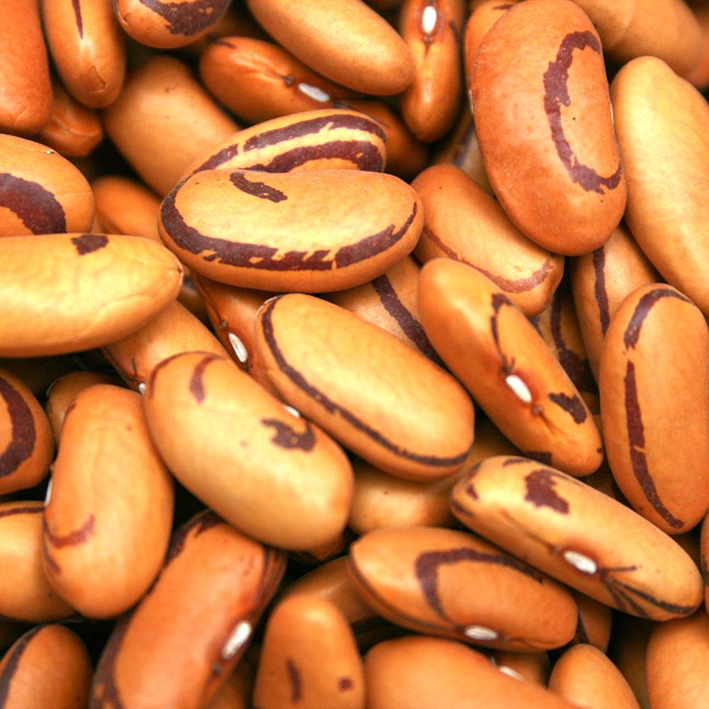 Drying Bean - Tiger Eye - Sow True Seed