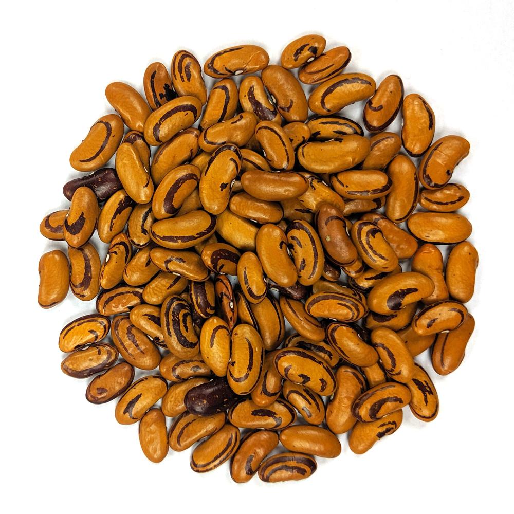 Drying Bean - Tiger Eye - Sow True Seed