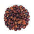 Drying Bean Seeds - Whipple ORGANIC