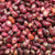 Drying Bean - Whipple ORGANIC - Sow True Seed