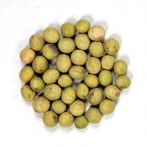 Soy Bean (Edamame) - Chiba Green, ORGANIC - Sow True Seed