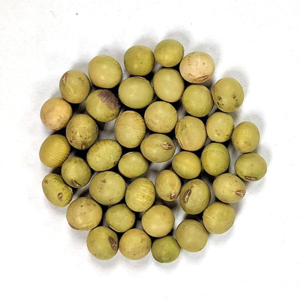 Amazon.com: Japanese Edamame Seeds ~~ Soy Bean HIGH in