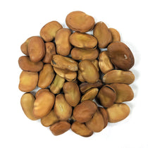 Fava Bean - Aquadulce - Sow True Seed