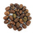 Fava Bean - Sweet Lorane ORGANIC - Sow True Seed
