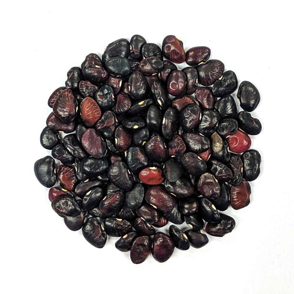 Lima Bean - Dark Pot Liquor - Sow True Seed
