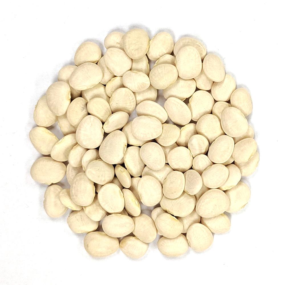 Lima Bean - Henderson Bush - Sow True Seed