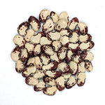 Lima Bean - Shantyboat Butterbean - Sow True Seed