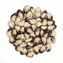 Lima Bean - Shantyboat Butterbean - Sow True Seed