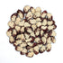 Lima Bean Seeds - Shantyboat Butterbean