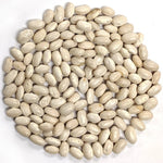 Pole Bean - Fatman Pole Bean - Sow True Seed