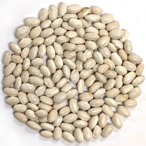Pole Bean - Fatman Pole Bean - Sow True Seed