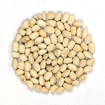 Pole Bean - Margaret Best Greasy Cut Short - Sow True Seed