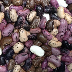 Runner Bean - Luther's Mixed Colors - Sow True Seed