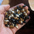 Drying Bean Seeds - Mountain Magic Mix - Sow True Seed