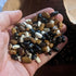 Drying Bean Seeds - Mountain Magic Mix