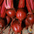 Beet Seeds - Detroit Dark Red, ORGANIC - Sow True Seed