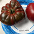 Slicing Tomato Seeds - Black Krim
